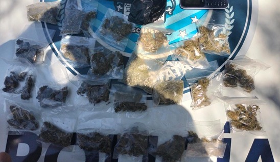 DETIENEN A ENVENENADORES