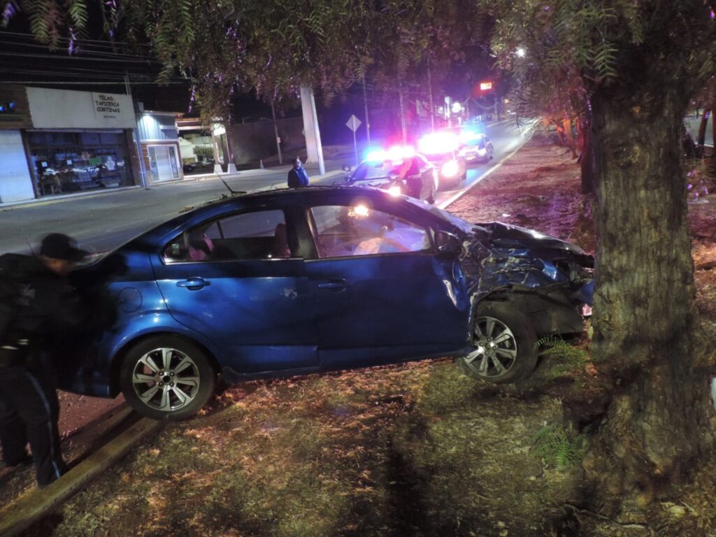 PERRO PROVOCA FUERTE ACCIDENTE