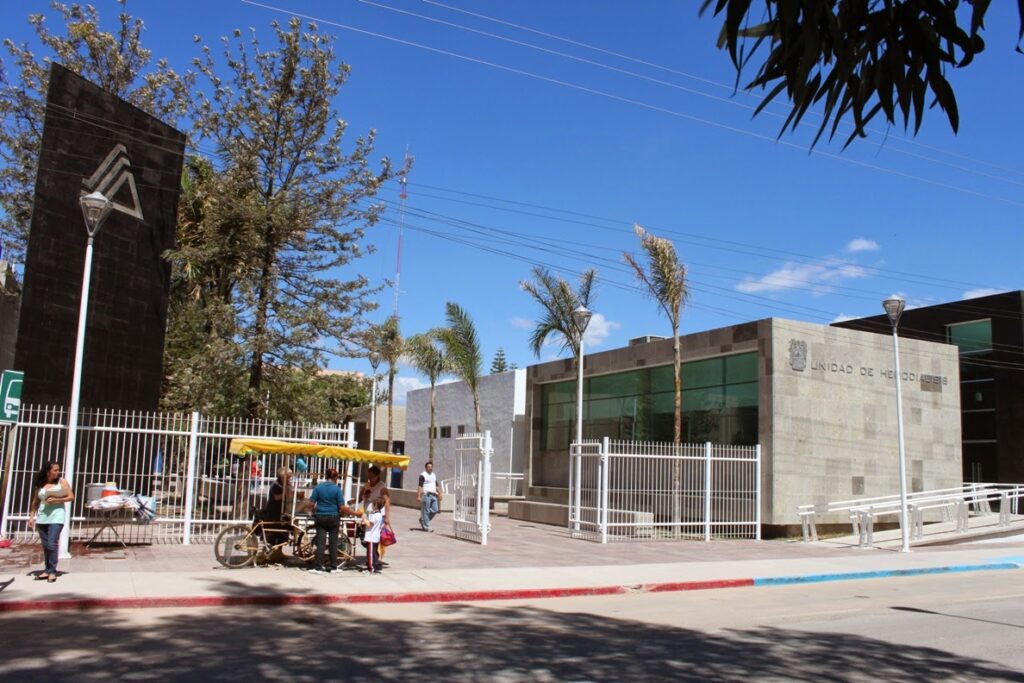 SE DIO UN BALAZO TRAS ESTAR CAZANDO CONEJOS EN CALVILLO