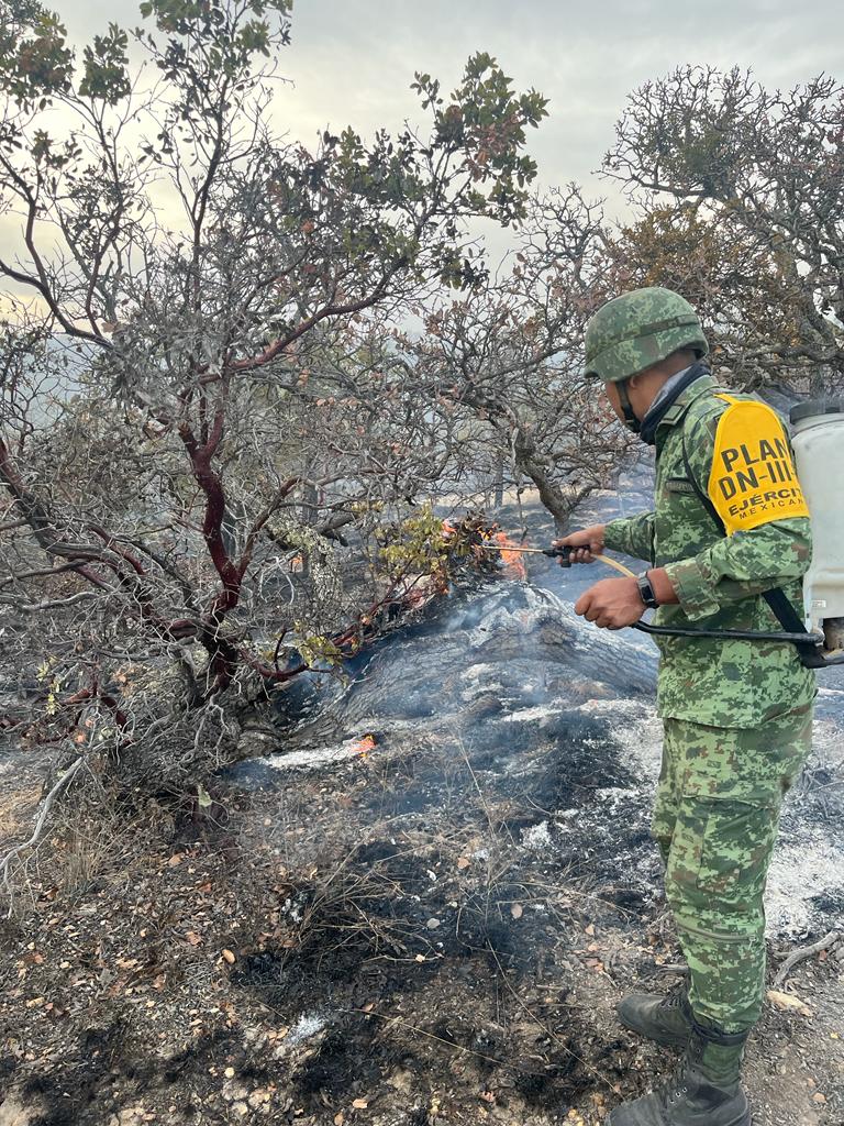 HAY INCENDIO ACTIVO EN LA SIERRA FRIA