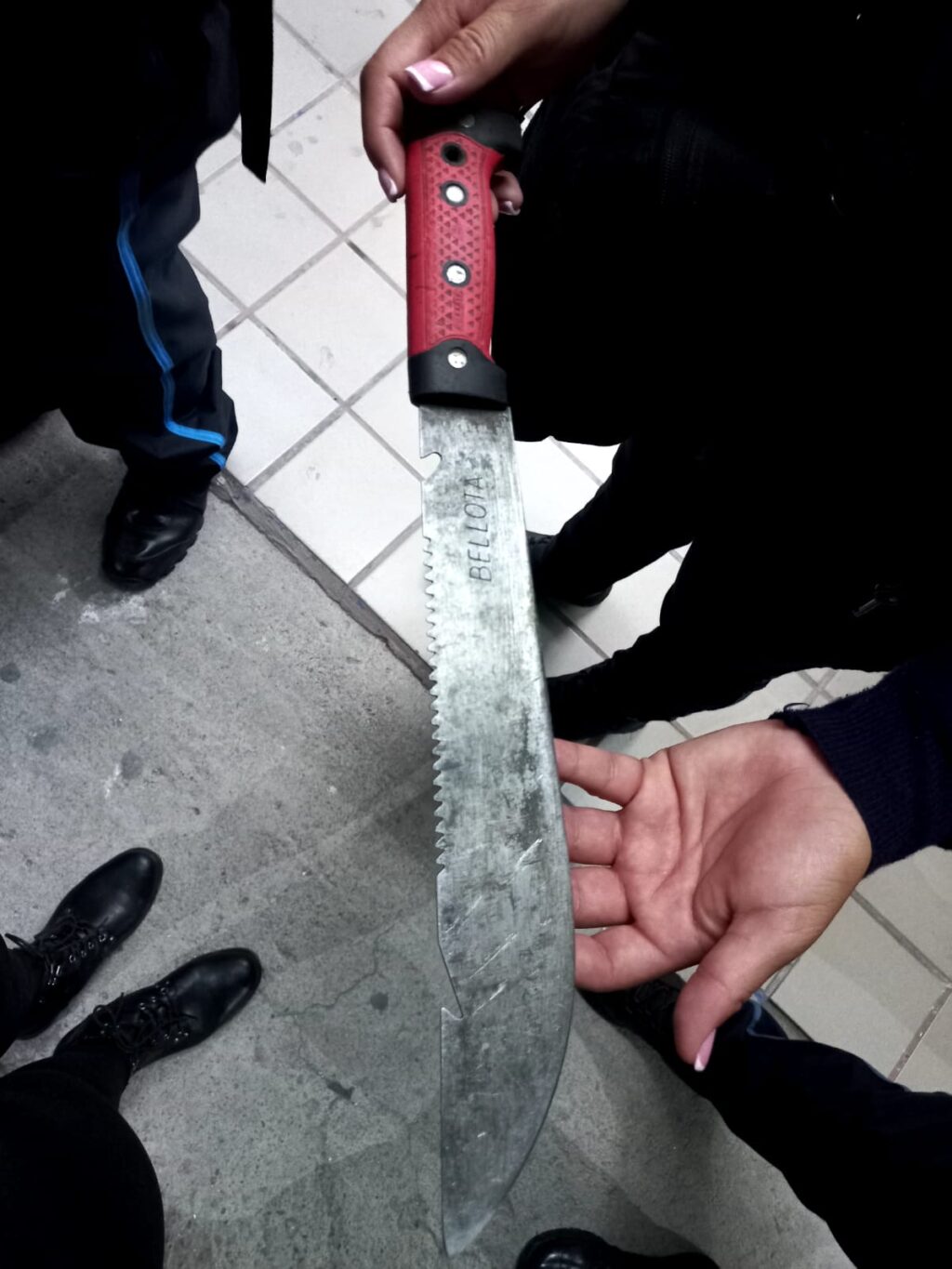 IBA A CORTAR LEÑA A LOS BOSQUES DE LA FERIA DE SAN MARCOS Y FUE DETENIDO