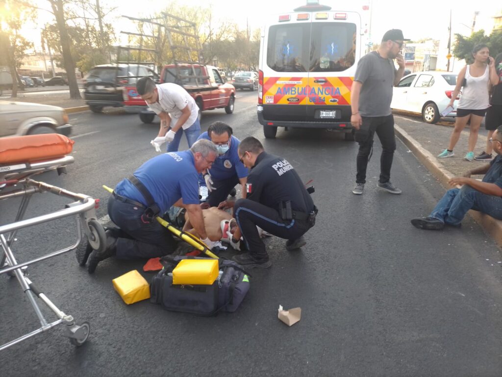 LO ATROPELLAN EN LA CRUVA DEL C4 MUNICPAL