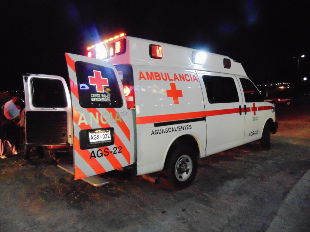 COBRA VICTIMA MORTAL TERRIBLE ACCIDENTE CONTRA OBJETO FIJO