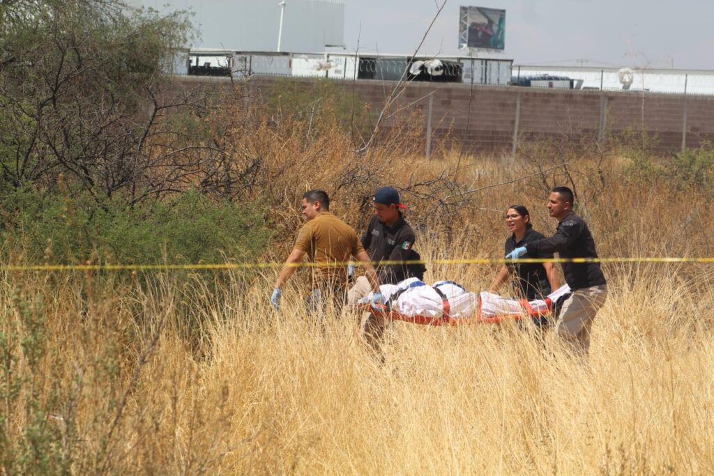 ENCUENTRAN UN HOMBRE PUTREFACTO EN UN BALDIO, OTRA VEZ AL SUR DE LA CIUDAD