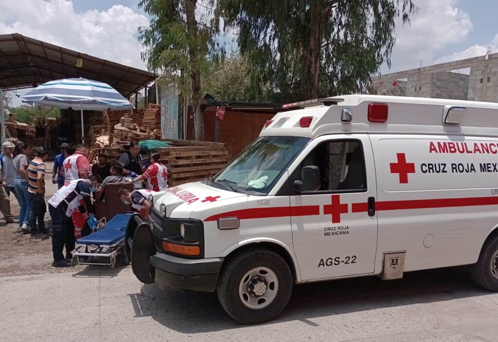 CAYÓ DE 2 METROS DE ALTURA Y SUFRIO VARIAS FRACTURAS