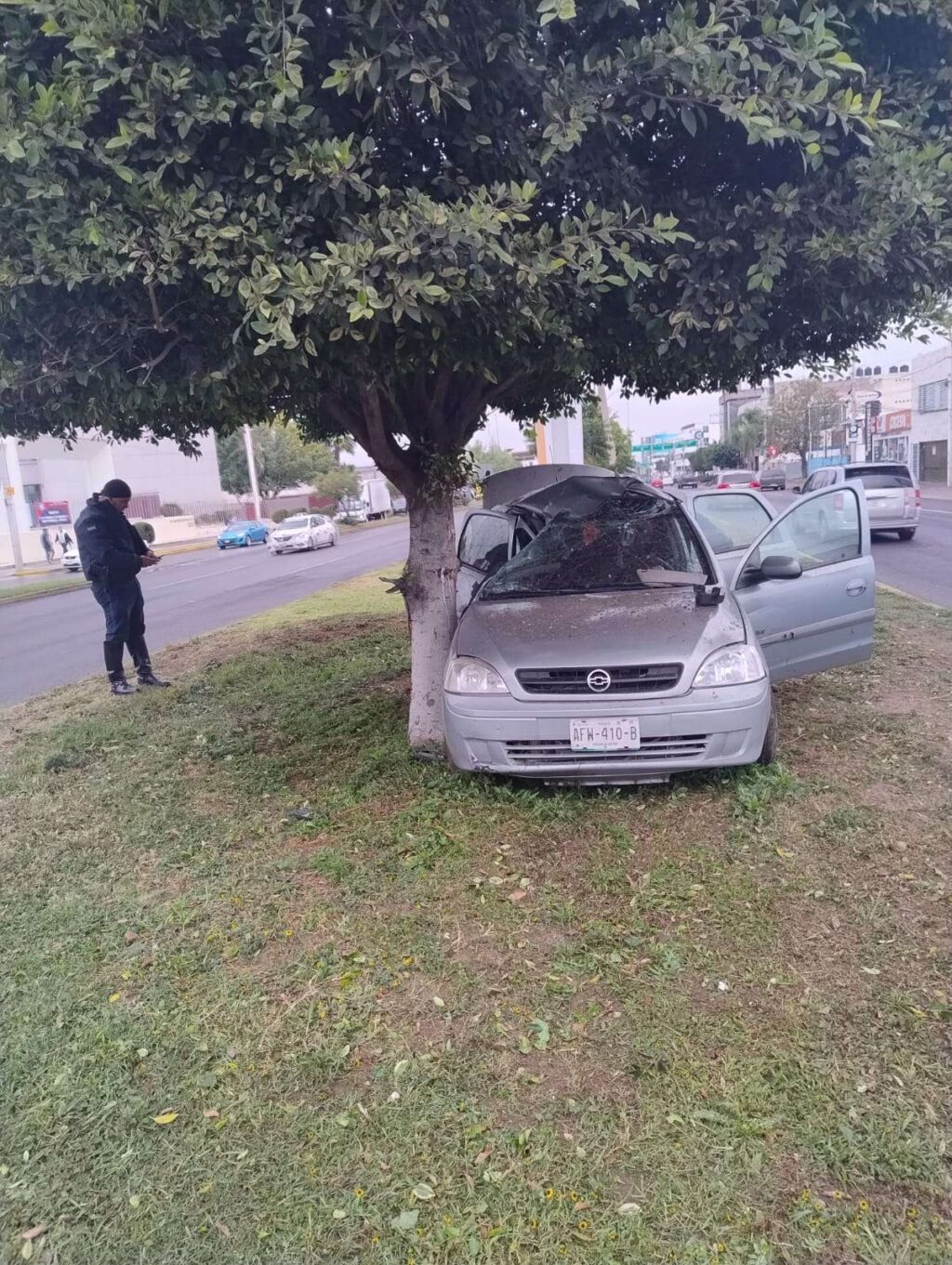 Conductor perdió el control y se estrelló contra un árbol