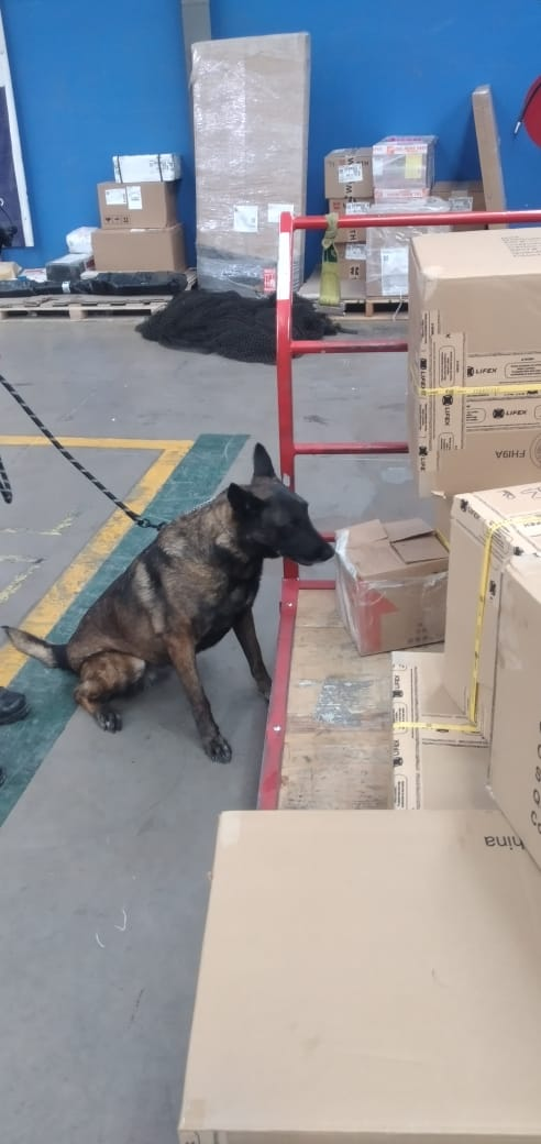 Detectan droga en el interior de envoltorio en una paquetería