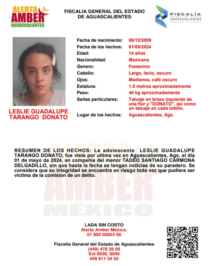 Buscan a dos menores desaparecidos en Aguascalientes