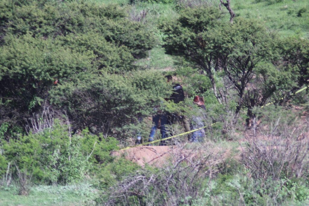 Localizaron una osamenta humana en un predio en Lomas del Gachupín