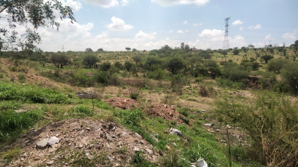 Encuentran cadáver en el fondo de una barranca en La Ribera