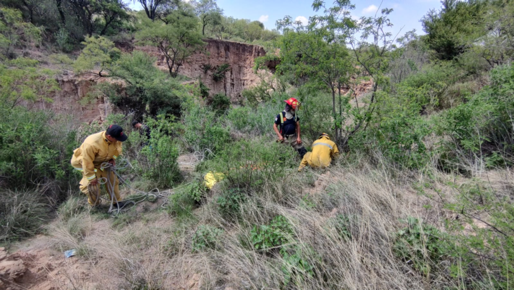 Fue asesinado a golpes el hombre que fue encontrado en La Ribera