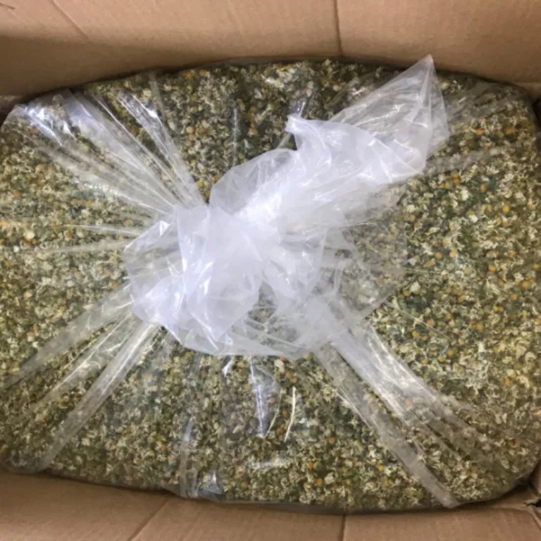 Policías estatales aseguraron cargamento de más de un kilo de marihuana en la Central Camionera