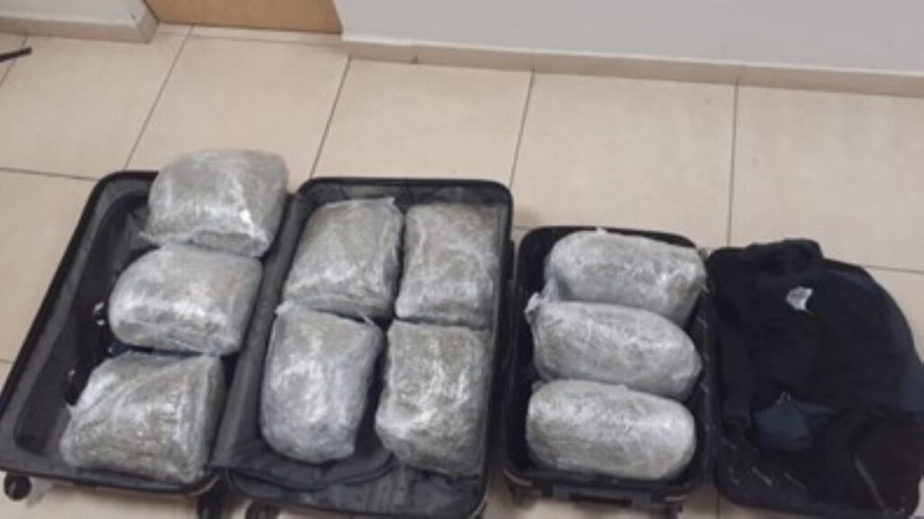 Adolescente transportaba casi 10 kilos de marihuana en un autobús de pasajeros en Aguascalientes