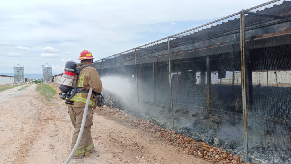 Se incendia una pollera en el rancho El Caracol