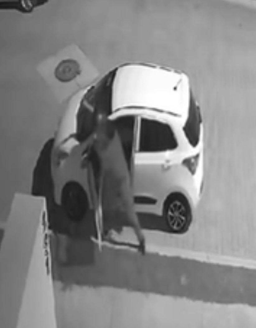 Cae ladrón de perros en el Condominio Santa Bárbara