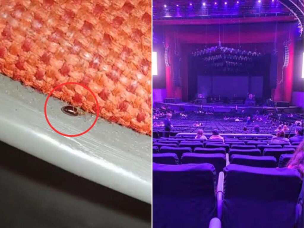 ¿Chinches en el Auditorio Nacional?