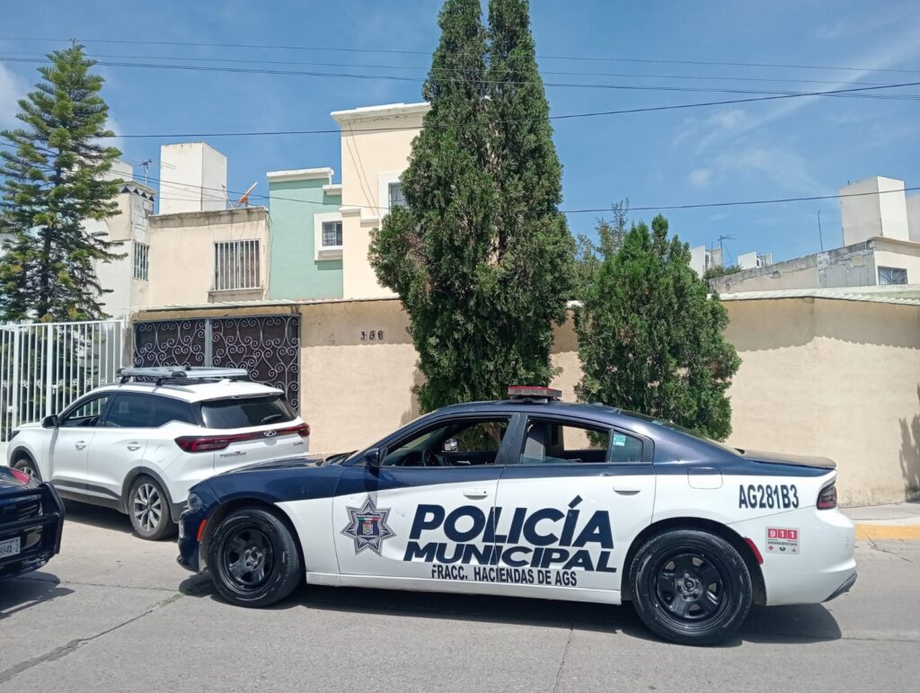 Se suicidó un niño de 13 años de edad en Real de Haciendas