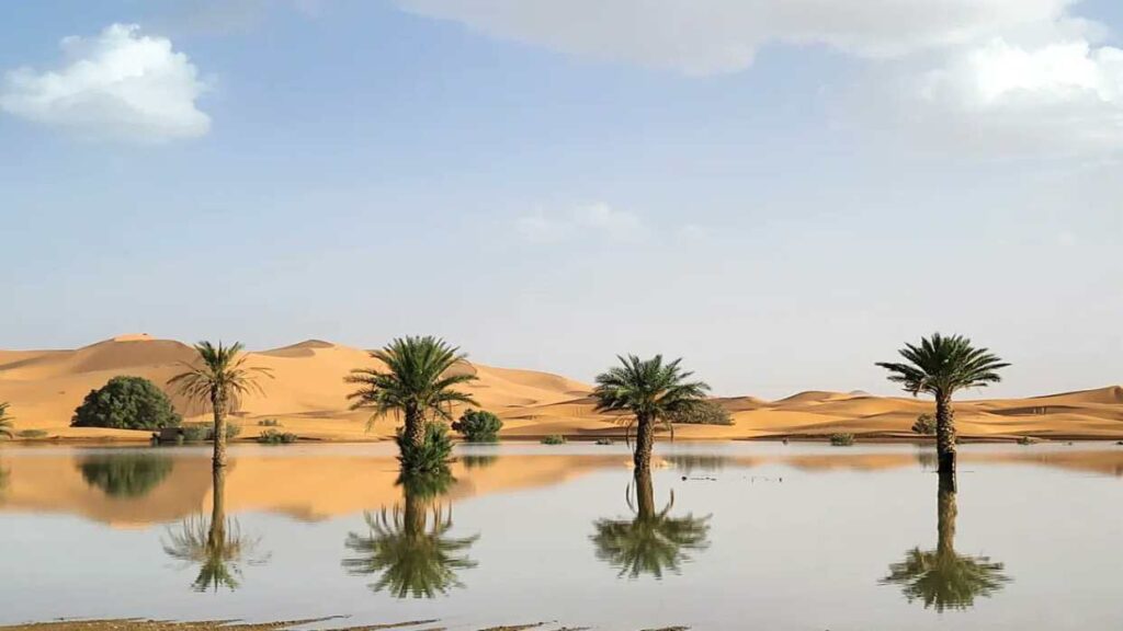 Atípicas lluvias generan inundaciones en el Desierto del Sahara