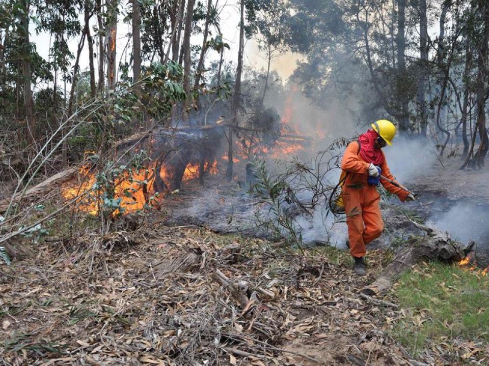 Para combatir incendios forestales, México dona dinero a Uruguay