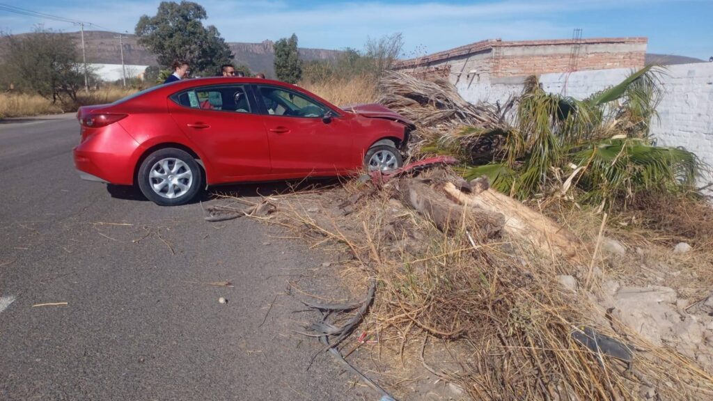 Mujer resulta lesionada tras impactar su auto contra una palma en Rincón de Romos