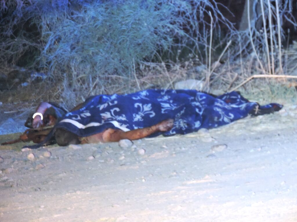 Identifican a los dos hombres torturados y ejecutados a balazos en Rincón de Romos