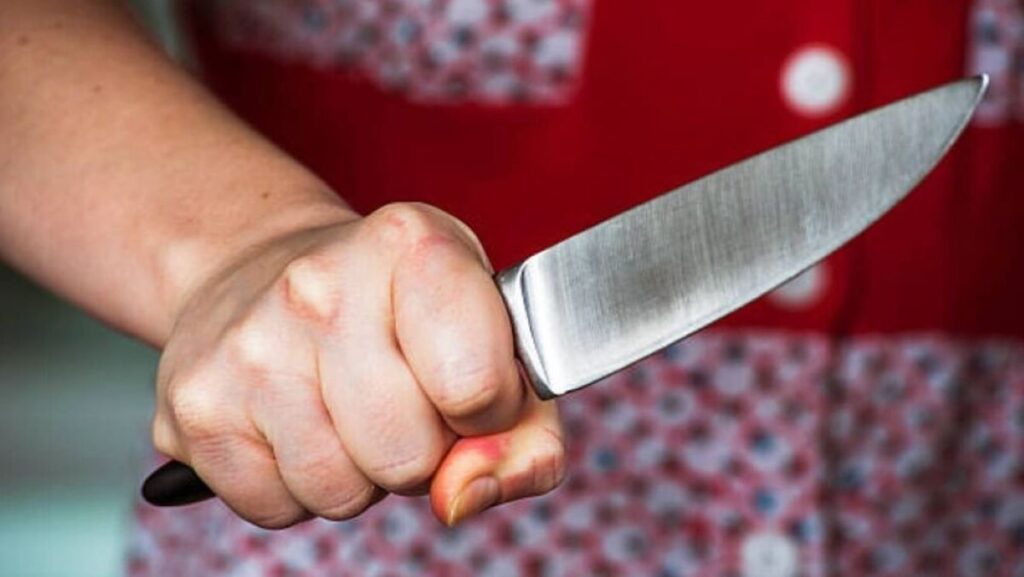 Una mujer le amputó los genitales a su esposo con un cuchillo en Valparaíso, Zacatecas