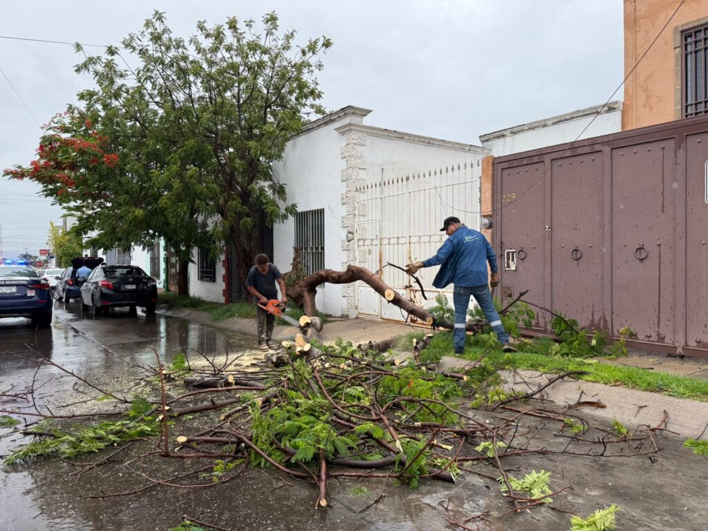 Más de 32 reportes por lluvias en Aguascalientes; sin víctimas ni heridos