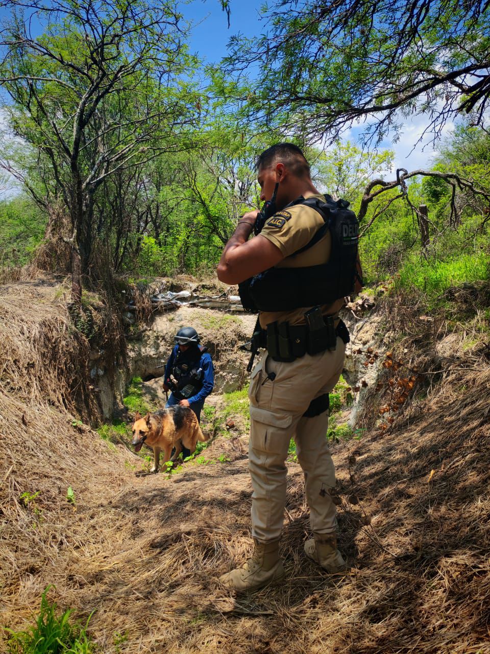 DESEMPOLVAN EL FAMOSO CASO “MAVERICK”; REALIZAN BÚSQUEDAS EN JALISCO