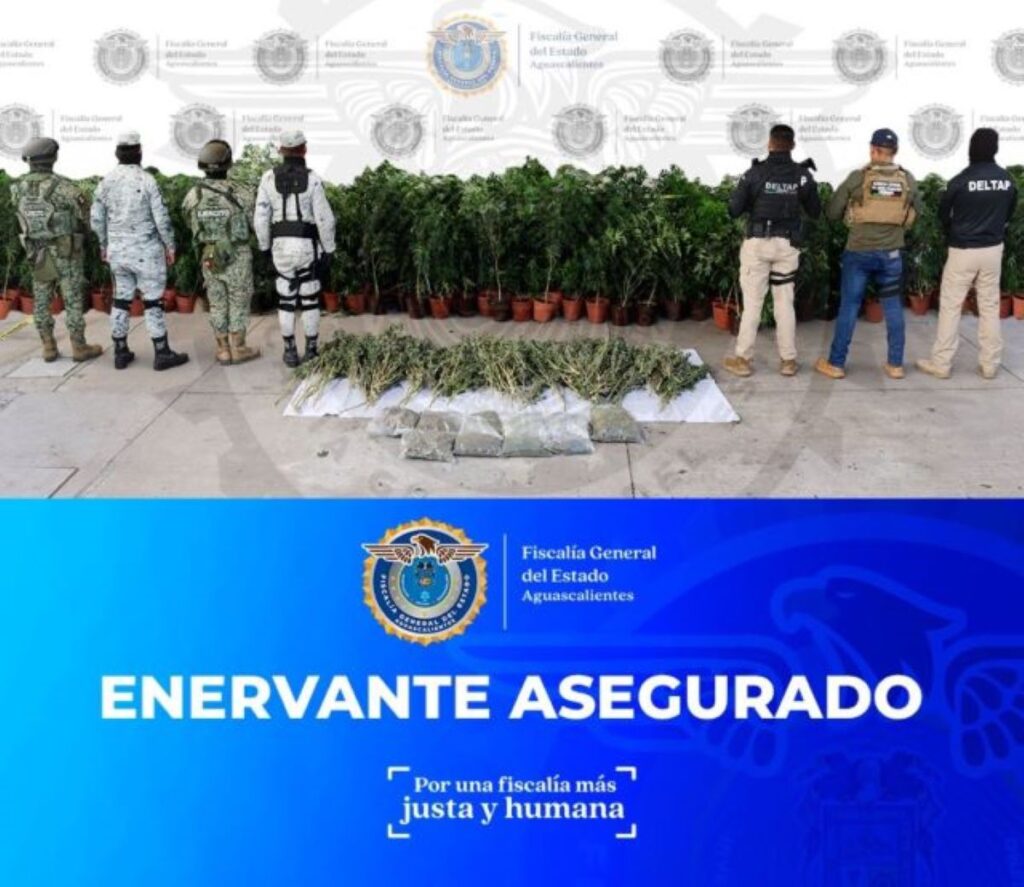 Vincularon a proceso al sujeto que operaba un narco-rancho en Norias de Ojocaliente
