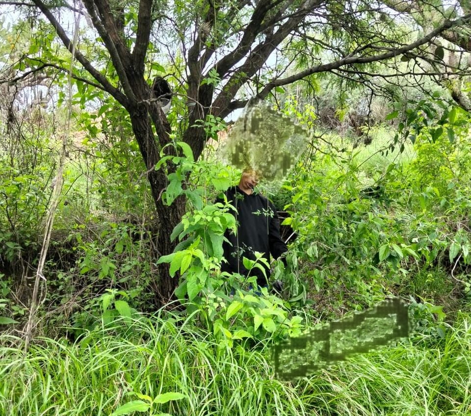 Un hombre se suicidó colgándose de la rama de un árbol en un predio en Ribera del Sol