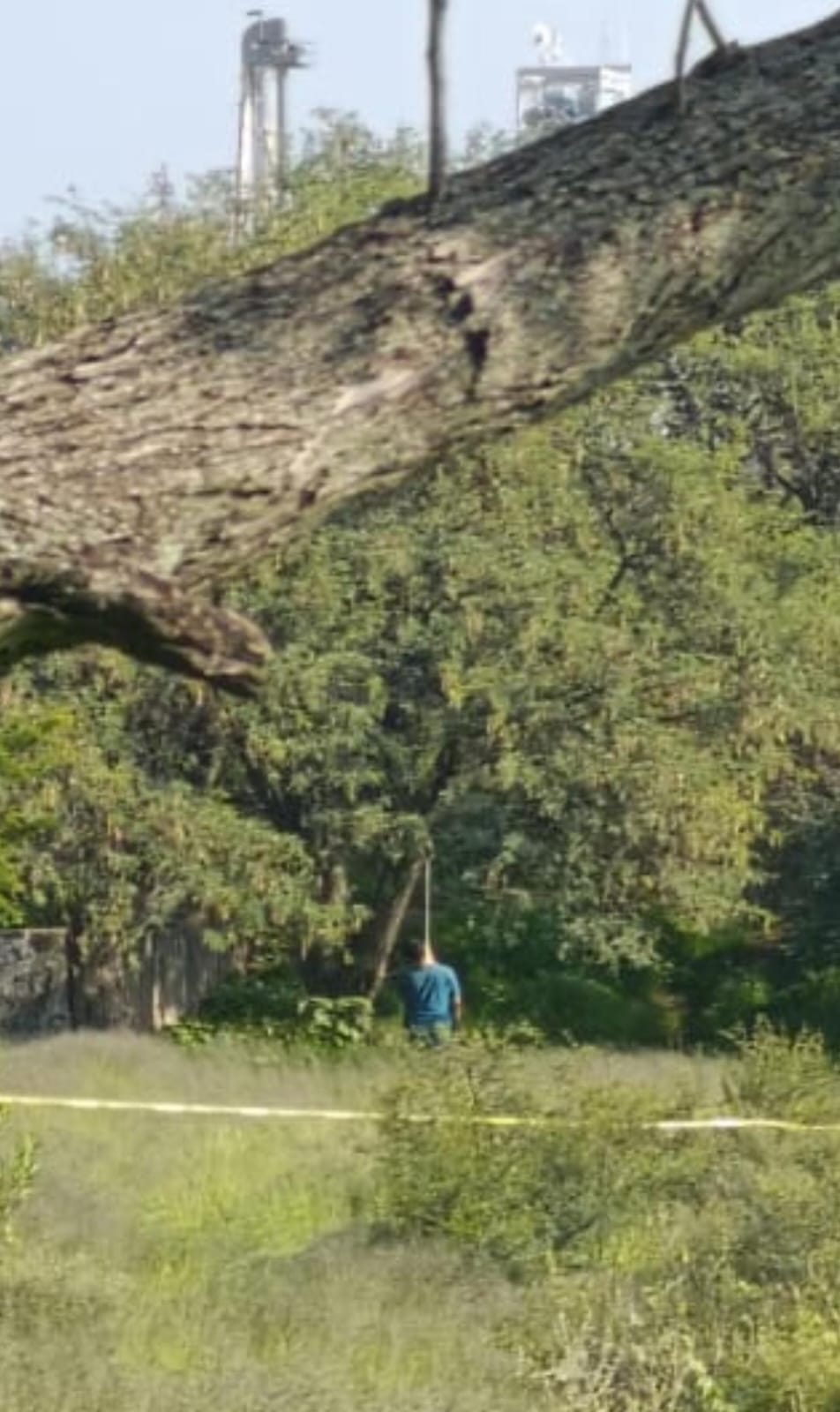 Un hombre se suicidó colgándose de un árbol en un predio en San Francisco de los Romo