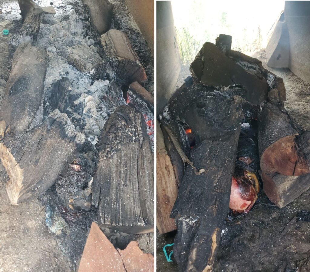 Ya fue identificada una de las dos personas ejecutadas y calcinadas en un canal de aguas en Pabellón de Arteaga