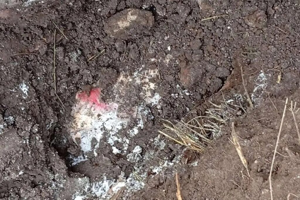 Hallaron a dos hombres ejecutados y enterrados en el rancho La Ventana en Jesús María