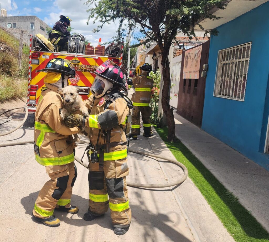 Bomberos salvan a perro de morir calcinado en incendio de vivienda en Fundadores