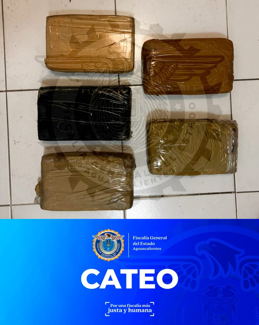 Fiscalía asegura siete kilos de marihuana tras un cateo en un domicilio en Jardines de Casa Blanca