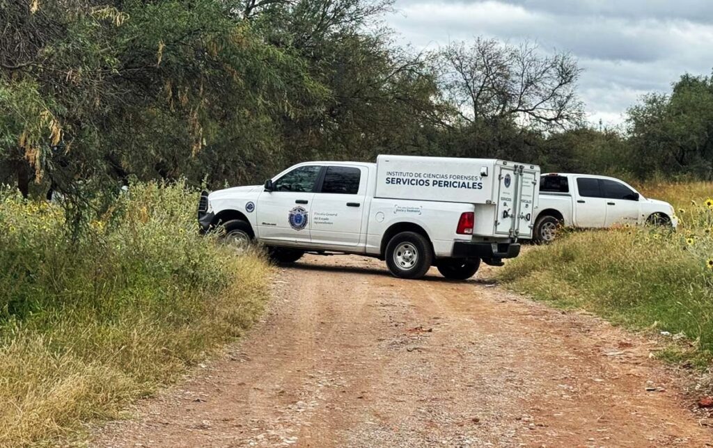 Ejecutan a un hombre de un balazo en la cabeza en una parcela en Salto de los Salado