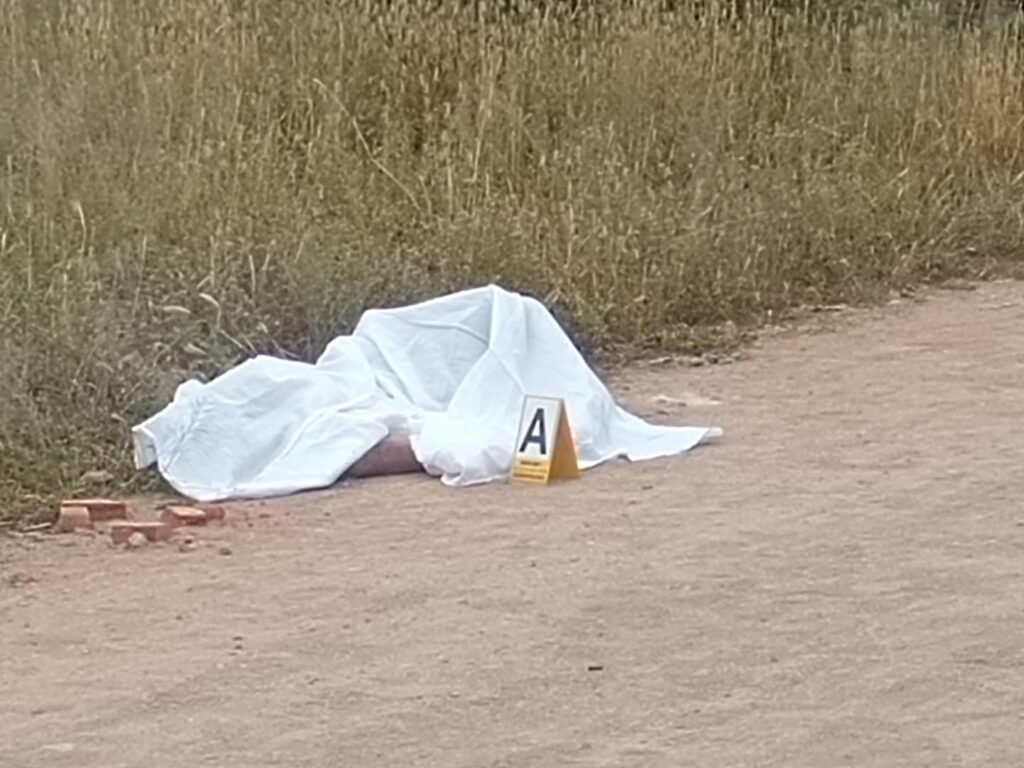 Encuentran muerto y con huellas de violencia a un joven en Rincón de Romos