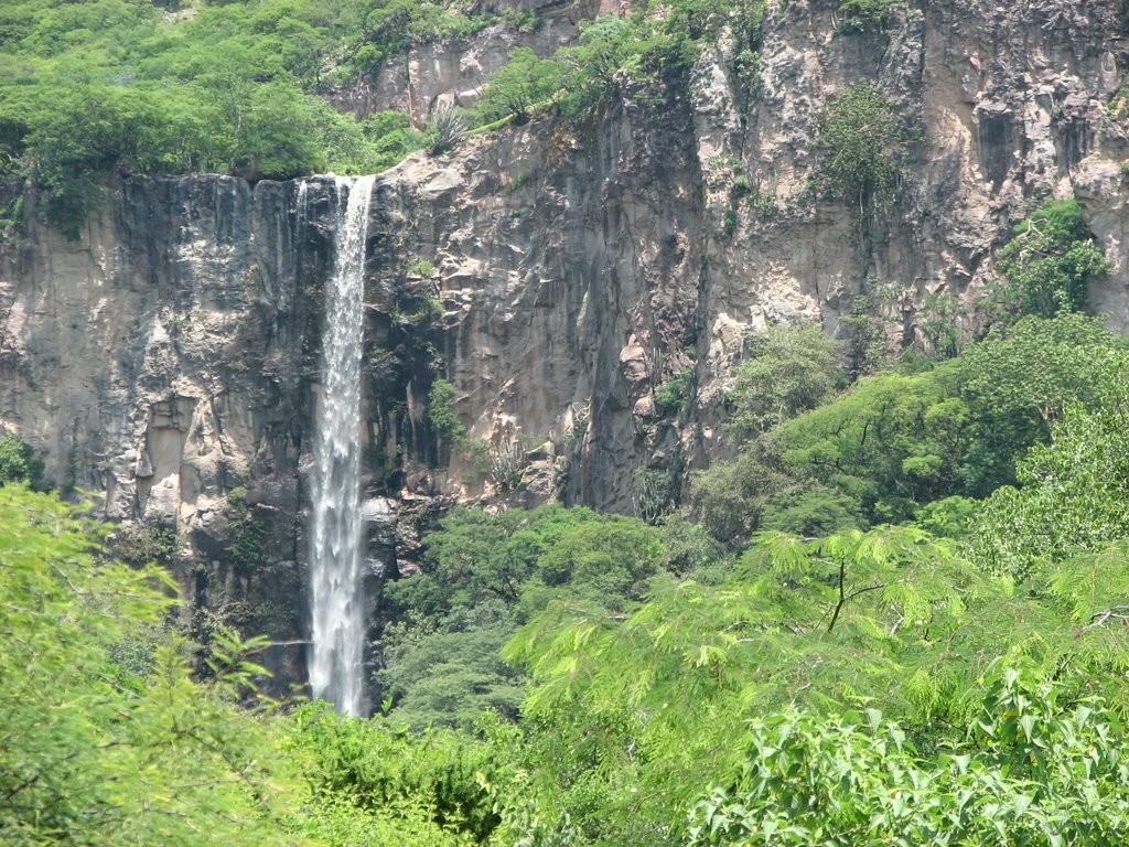 Joven se quitó la vida en la cascada de los Huenchos, en Calvillo