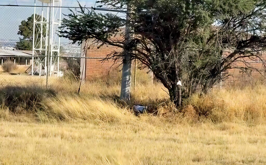 Sujeto murió electrocutado al intentar robar el cableado de un poste de la CFE