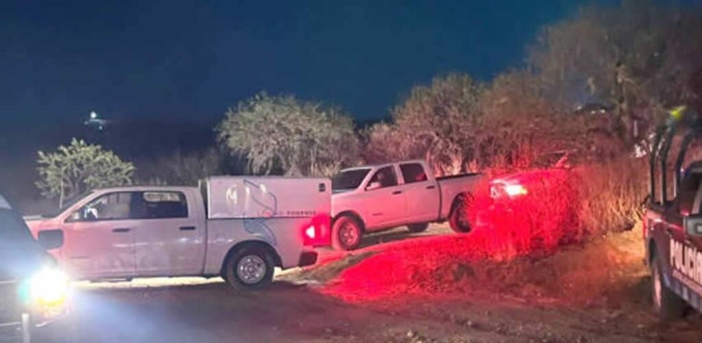 Hombre se quita la vida tras colgarse de la rama de un árbol en Mirador de las Culturas