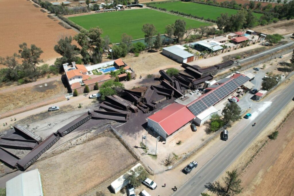 Identifican a la víctima mortal y a los heridos del descarrilamiento del tren en Rincón de Romos